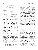 Bhagavan Medical Biochemistry 2001, page 787